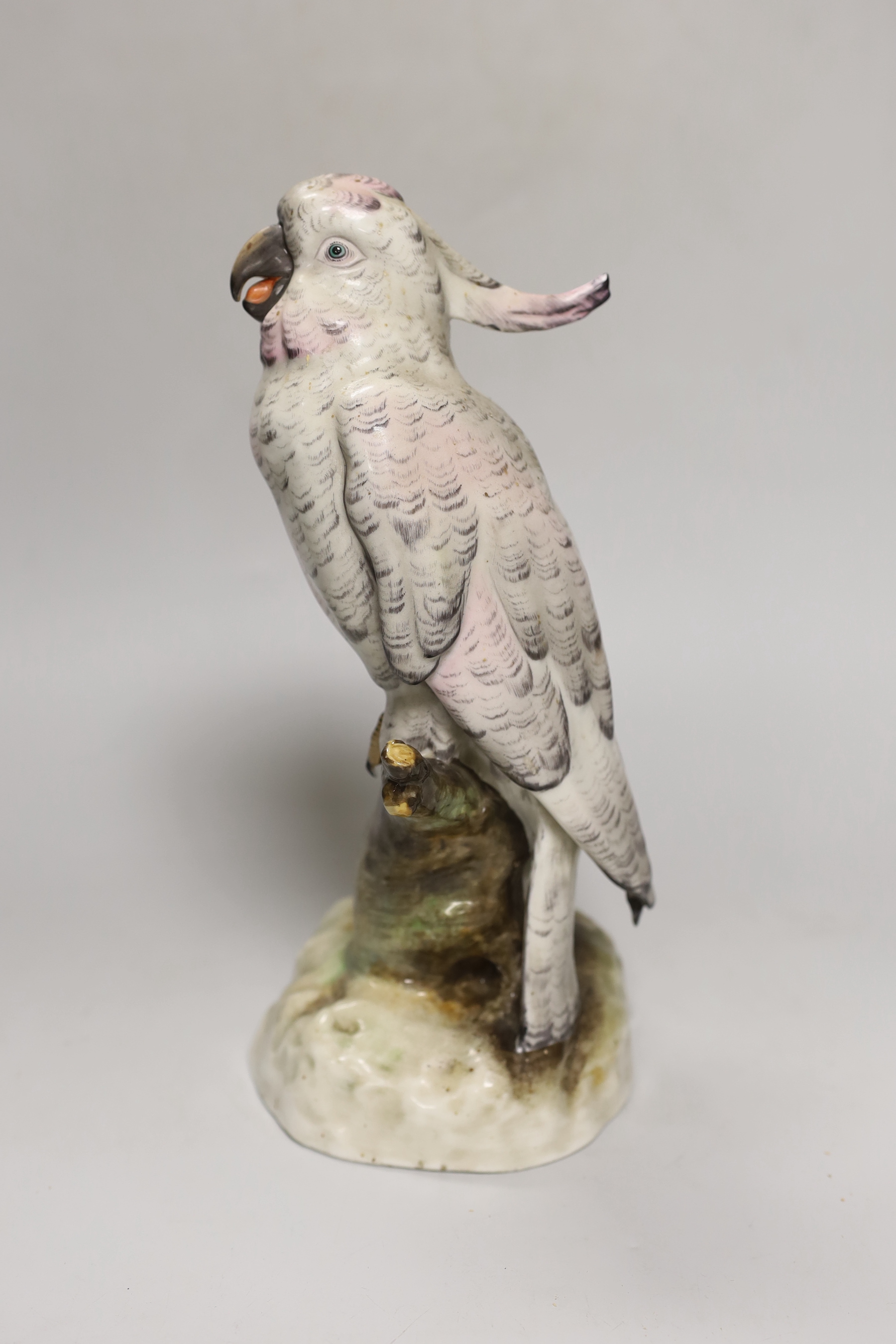 A Dresden porcelain cockatoo, 28cm